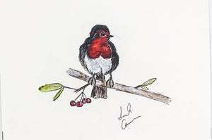 Little robin red breast print.