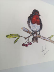 Little robin red breast print.
